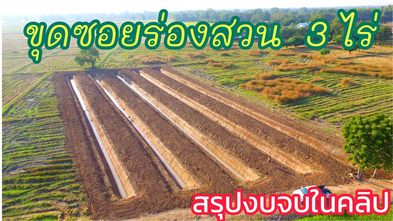 ขุดซอยร่องสวน พื้นที่ 3 ไร่ สรุปงบจบในคลิปเดียว