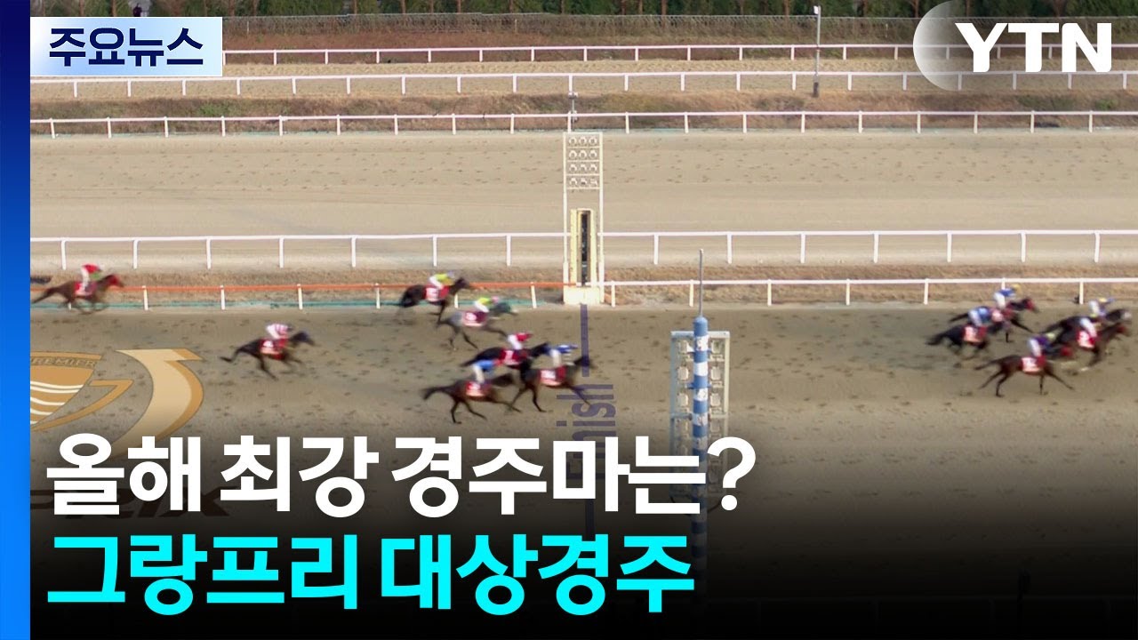 올해 최강 경주마는?...그랑프리 대상경주 / YTN
