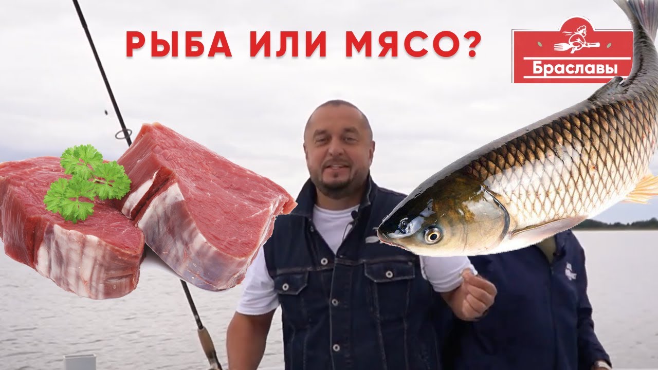 Рыба или Mясо? Браславский батл.