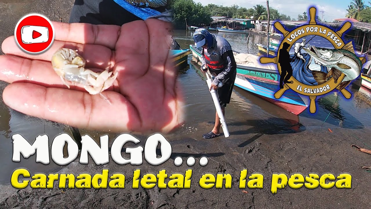 Locaventura de pesca en la Playa Barra Salada.