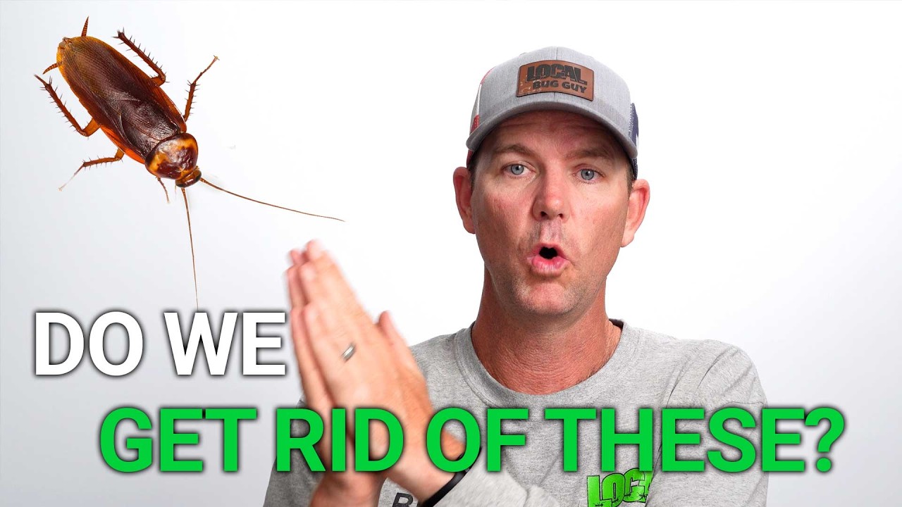 Pest Control - what's included and what's NOT