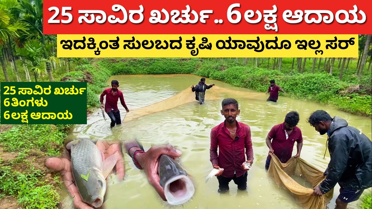 ಇದಕ್ಕಿಂತ ಸುಲಬದ ಕೃಷಿ ಯಾವುದು ಇಲ್ಲ ಸರ್ | Fish farming in Kannada | katla gowri fish farm Karnataka
