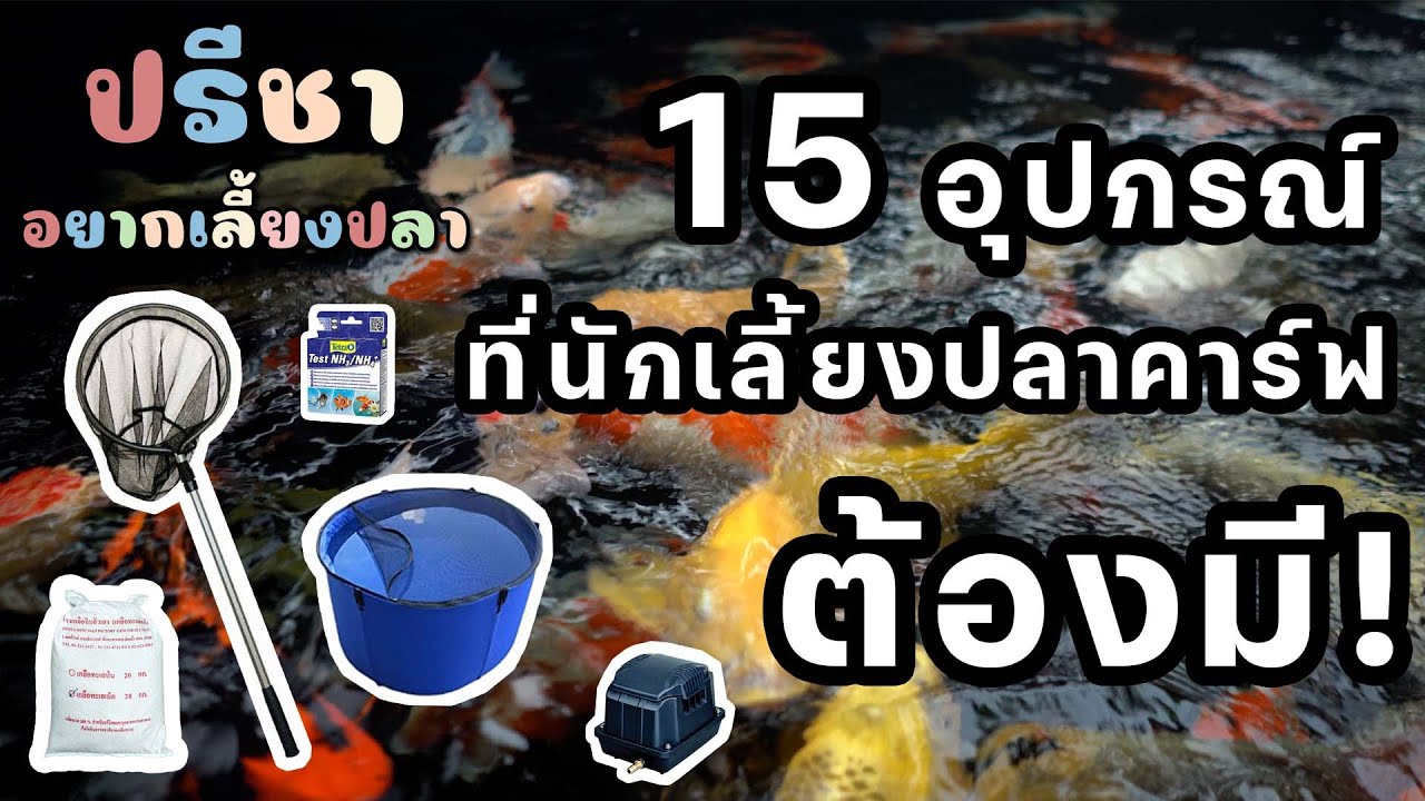 15 อุปกรณ์ที่นักเลี้ยงปลาคาร์ฟต้องมี - มินิซีรี่ส์ 