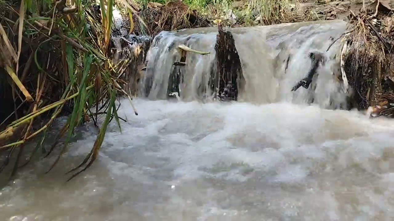 Calm Yourself Before Continuing the Day – Sounds of Nature