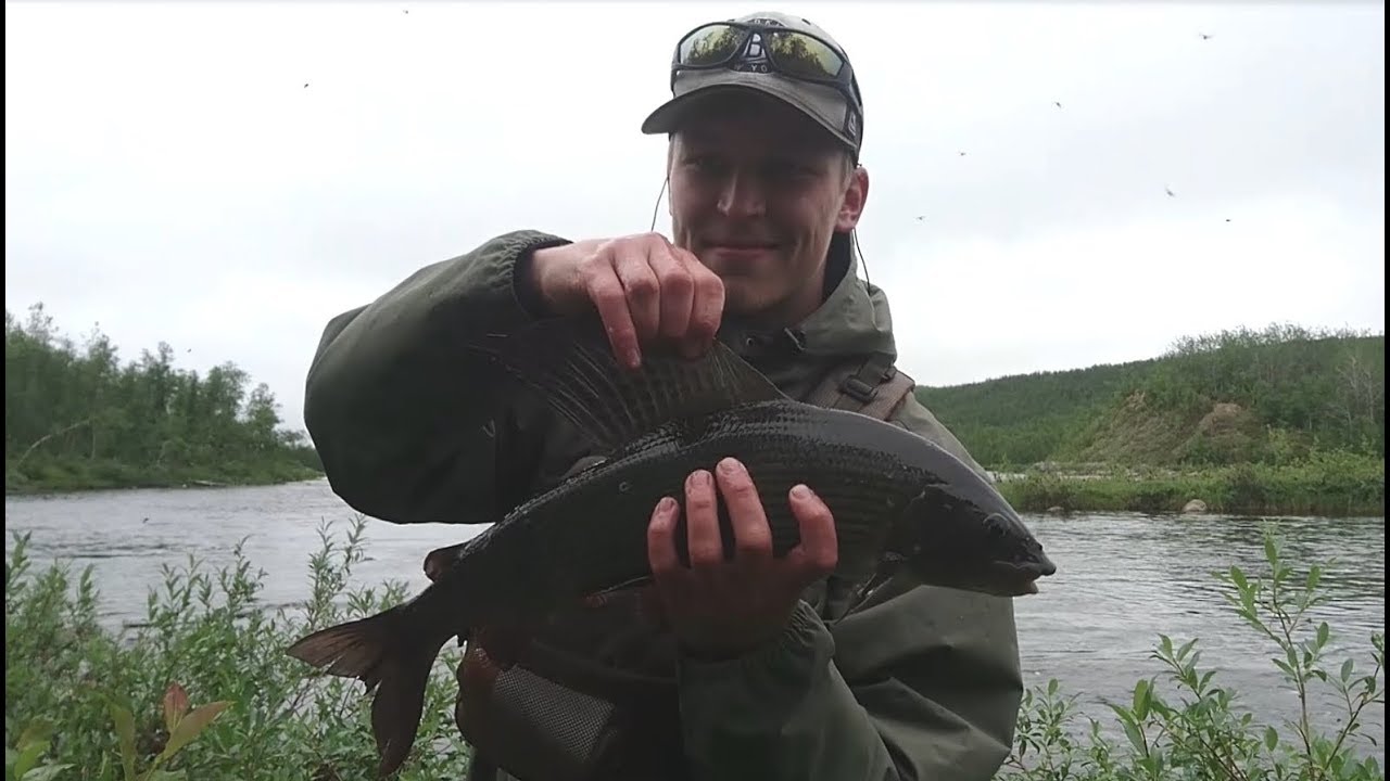 Lätäsenon Harjukset