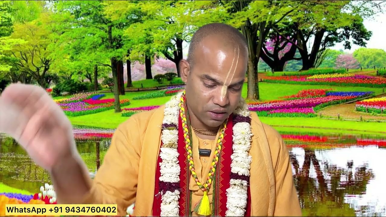 #আমলকী_একাদশী #bhakti_vijaya_bhagavat_swami #mayapur #iskcon 