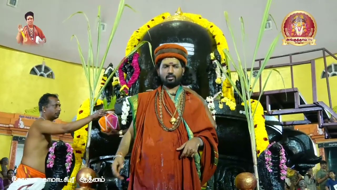 part 4#பல்லடம் சித்தம்பலத்தில் கோளாறு பதி நவகிரக கோட்டையில் மகா சிவராத்திரி திருவிழா