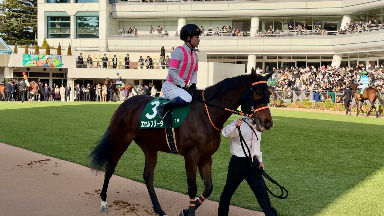 第44回ローレル競馬場賞中山牝馬ステークスのパドック