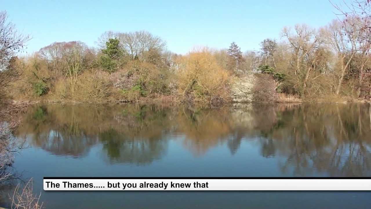 Runnymede Park