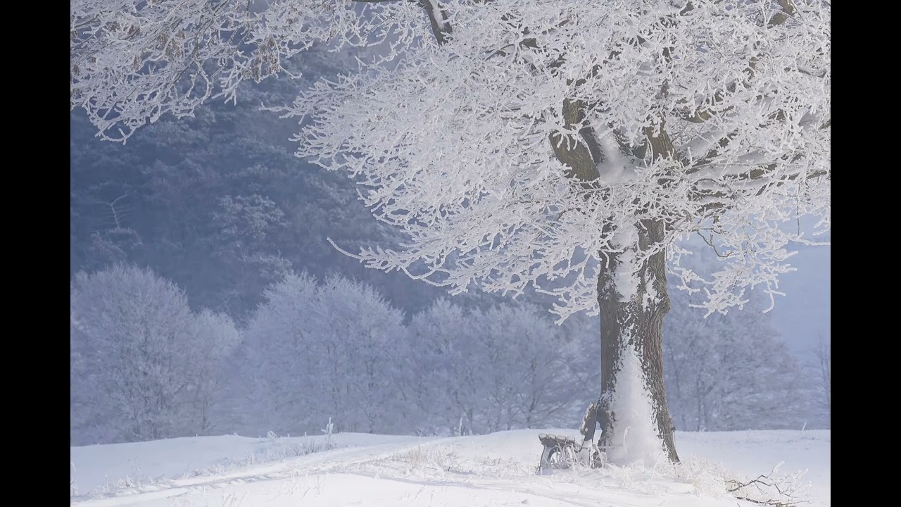 On a Snowy Day ~ Nocturne I Relaxing Piano Music by Suliko Chuiko 