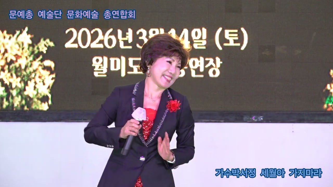 가수박서정 세월아 가지마라 타이틀곡 문예총 예술단 문화예술 총연합회 정기공연 관광특구 월미도 학무대 특설무대 