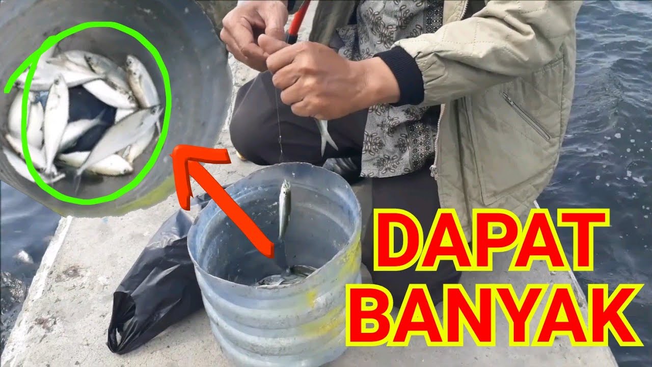 ASIK! Mancing di Jakarta dengan teknik 