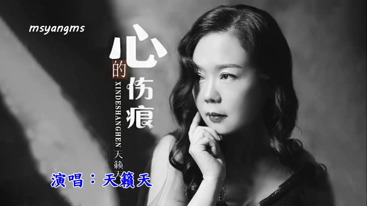 心的傷痕　演唱：天籟天（好聽）