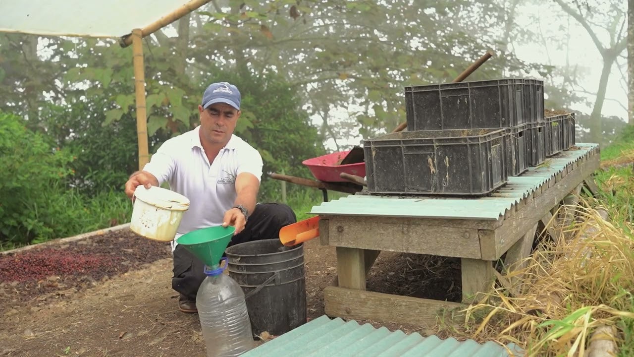 Cápsula: Lombricultivo, Granja La Esperanza - Fundación Aurelio Llano Posada