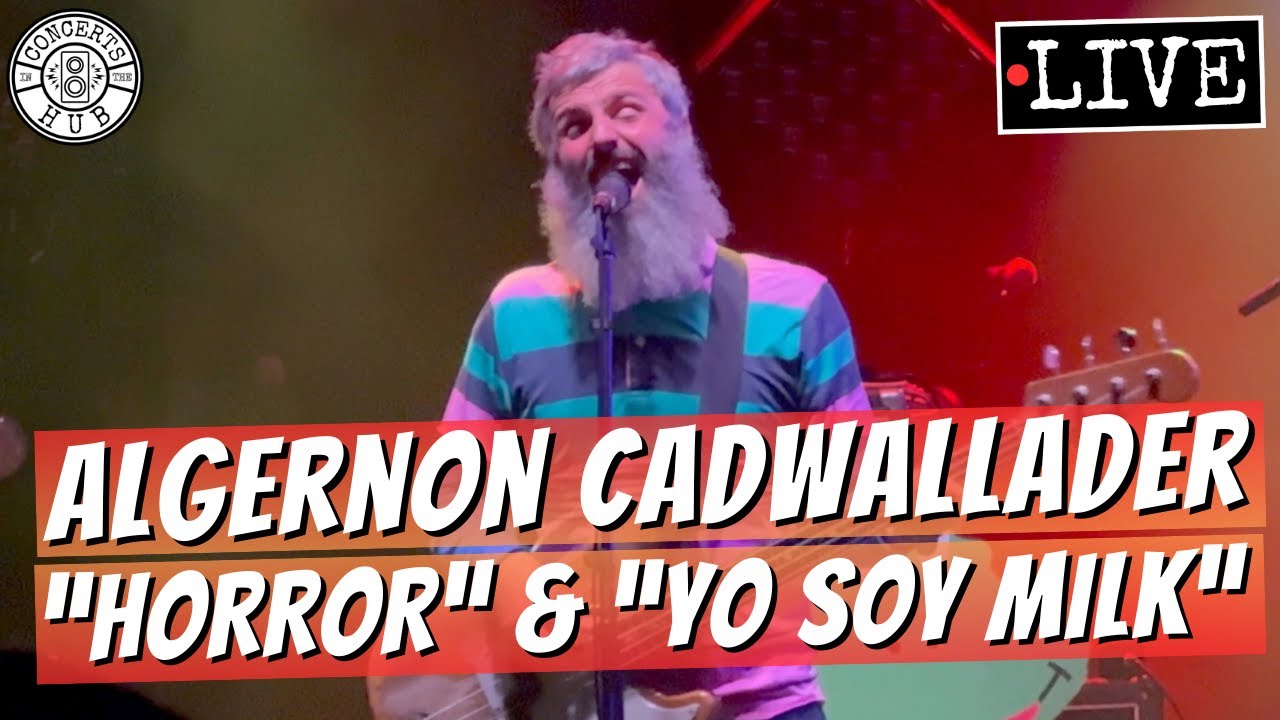 Algernon Cadwallader 