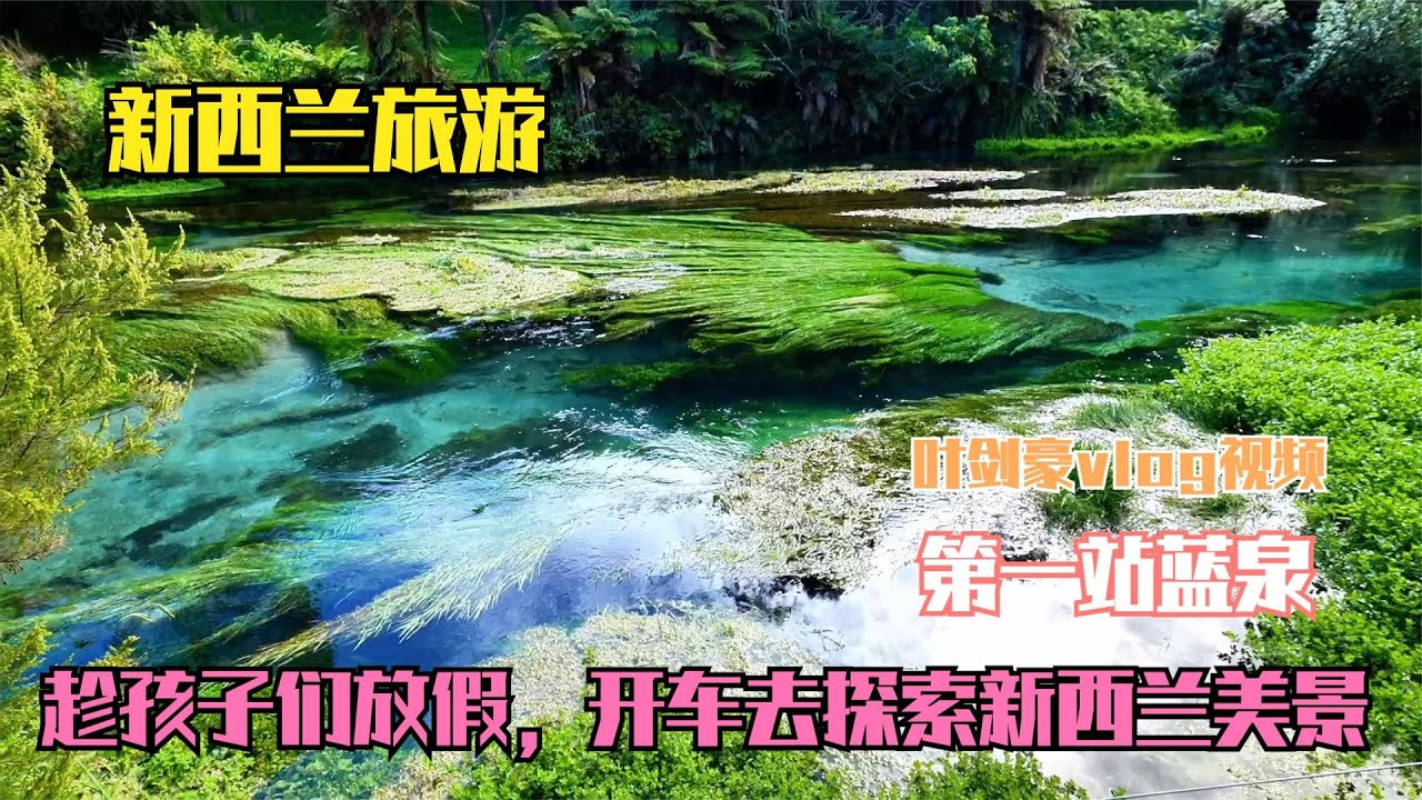 孩子们放假了，开车出发去探索新西兰的美景，第一站蓝泉！