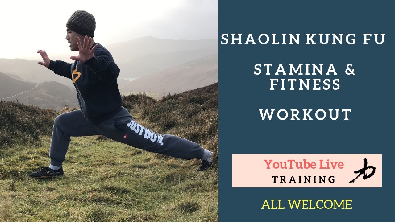 Shaolin Kung Fu Workout