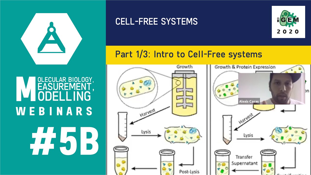 Week #5B: Cell-Free Systems 1/3: Intro to Cell-Free systems (advantages & versus in vivo)