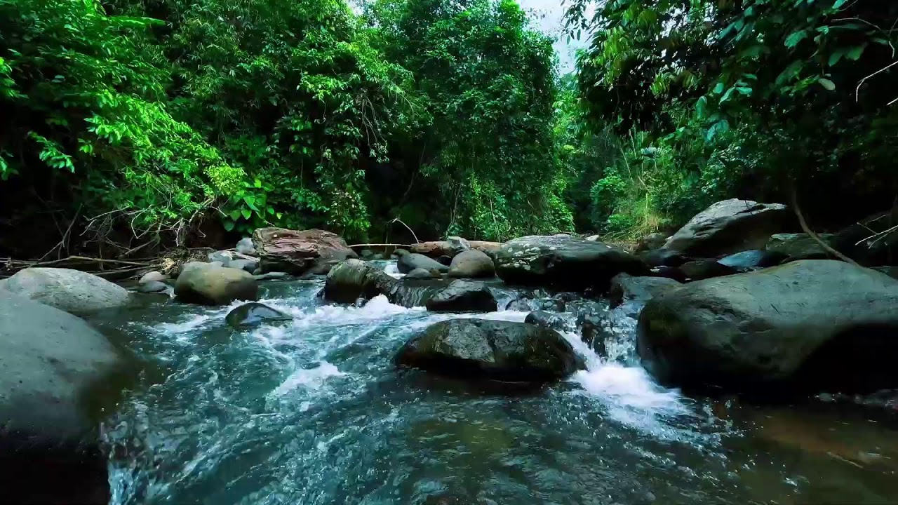 Rushing River in Deep Jungle – Relaxing Nature Sounds for Sleep, Stress Relief & Mental Clarity