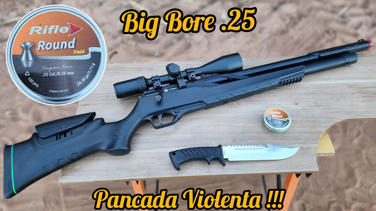 CARABINA T REX 6.35 - TESTE DE PRECIS&Atilde;O E POT&Ecirc;NCIA CHUMBO RIFLE ROUND 26,38 gr LUNETA VECTOR OPTCIS