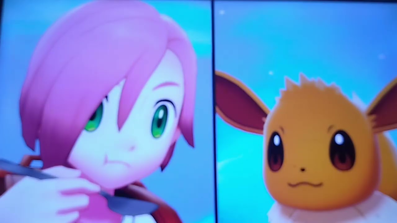 あせらがポケモンシールドで戯れる