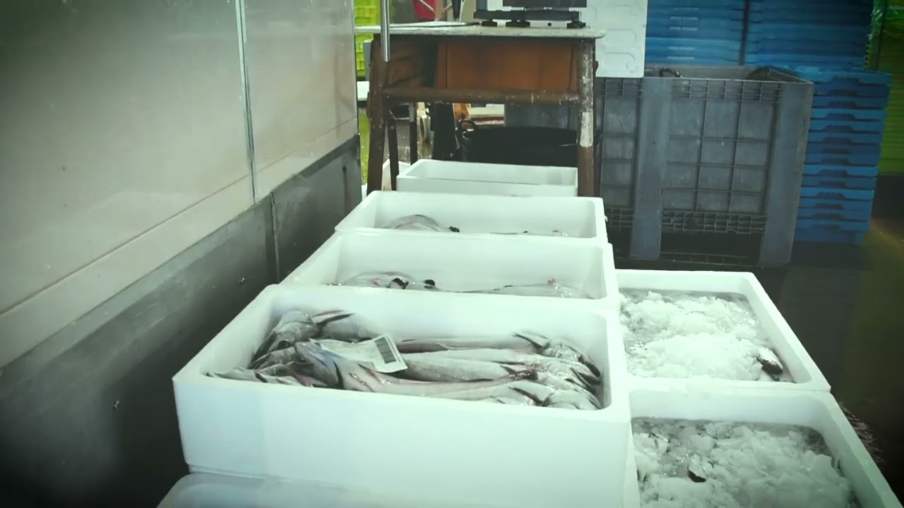 PURA VIDA   LONJA caleta de velez | RESTAURANTE LA HERRAdura