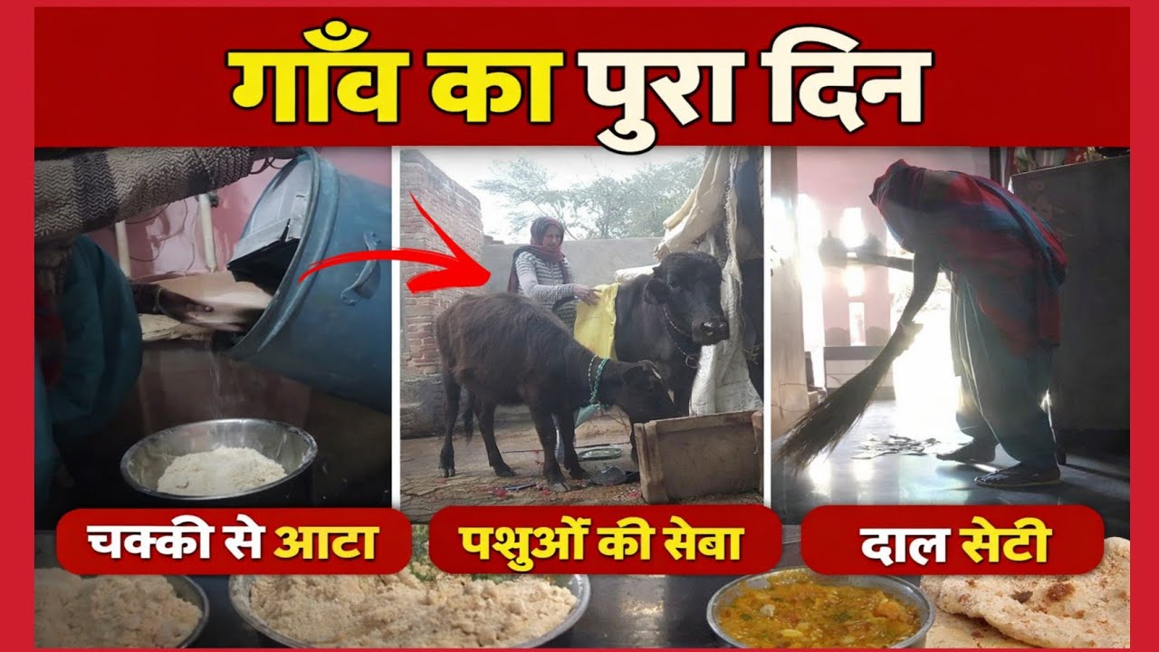पूरा दिन 🌾 गेंहू पिसवाया, चुन कैसे भरा, और दाल रोटी ❤️ village life vlog 