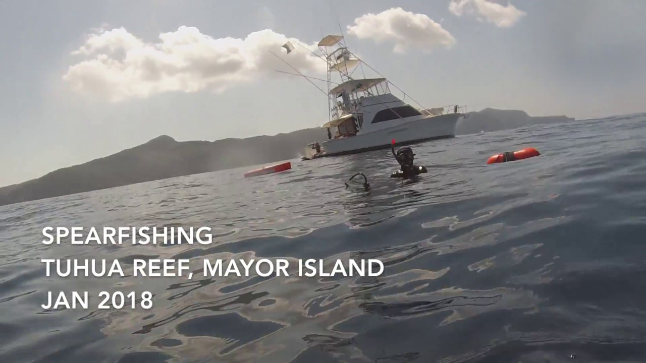 Spearfishing at Tuhua Reef, Mayor Island, NZ