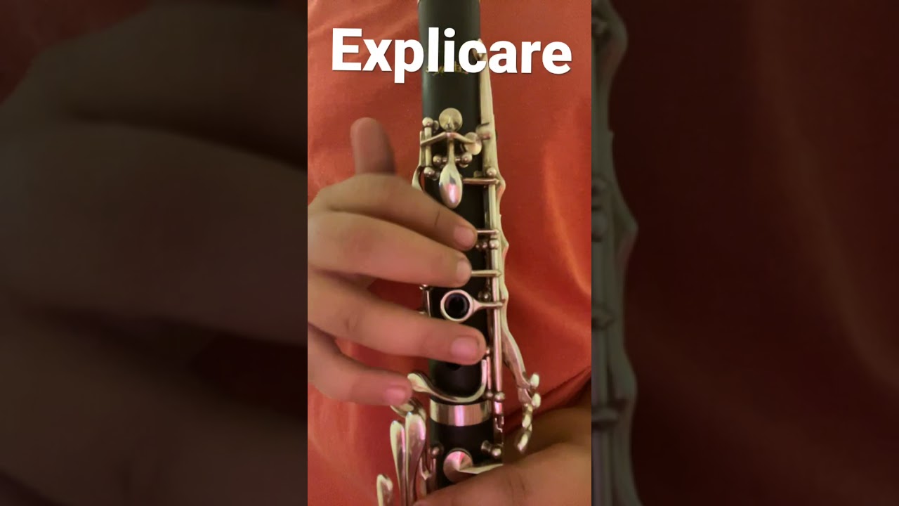 Tutorial clarinet &Icirc;nceputul de la horă
