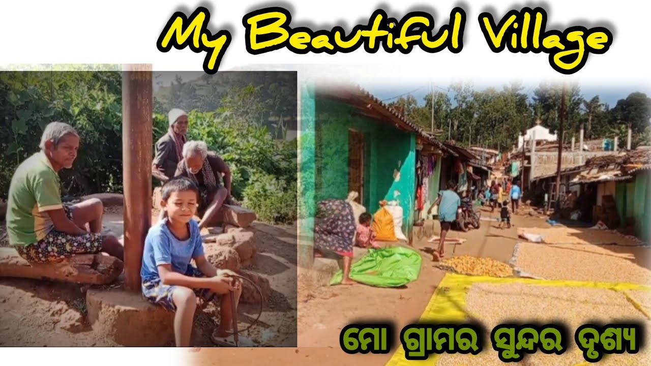 My Village | Beautiful Village #prafullatadingi #viral #video 