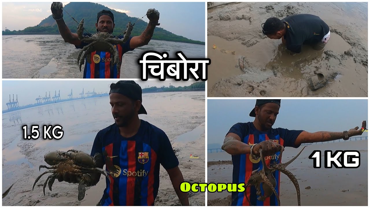 भालावर भेटले Big Size चे चिंबोरे आणि माकल्या | 1.5 kg Big Crab | OCTOPUS | माकल्यांचा पाऊस, Crabbing