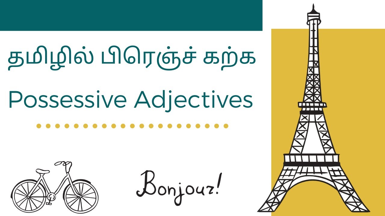 தமிழில் பிரெஞ்ச் கற்க Possessive Adjectives