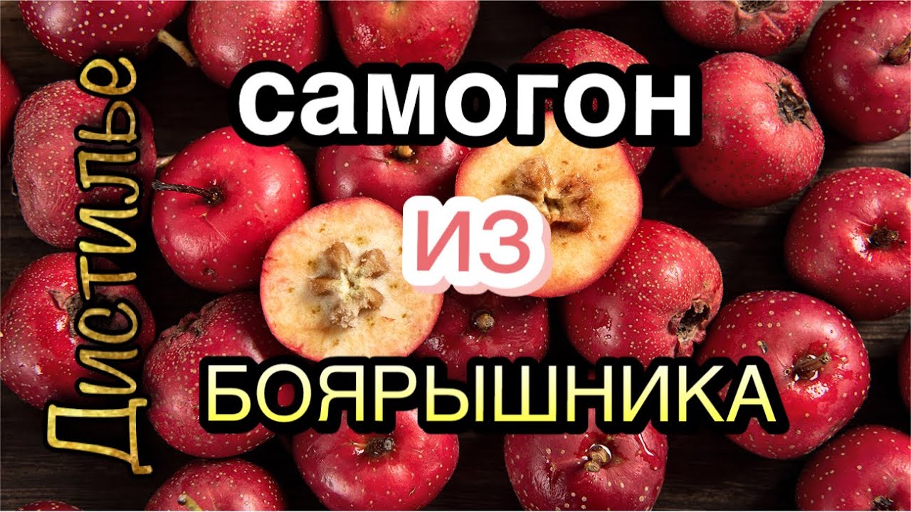 Самогон из боярышника