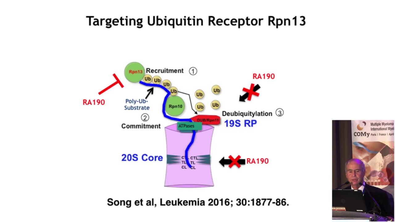 Bench to Bedside Immune Therapies in Multiple Myeloma | Ken Anderson