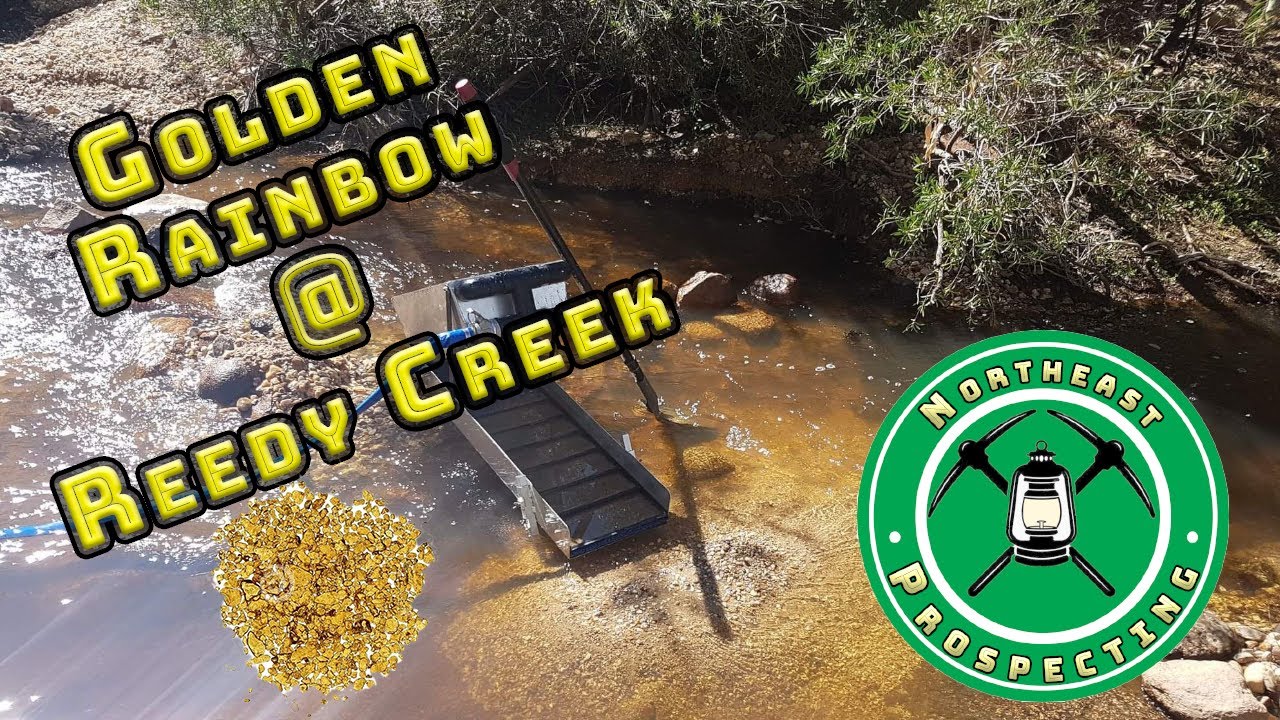 Chasing a golden rainbow at Reedy Creek - Throwback Thursday