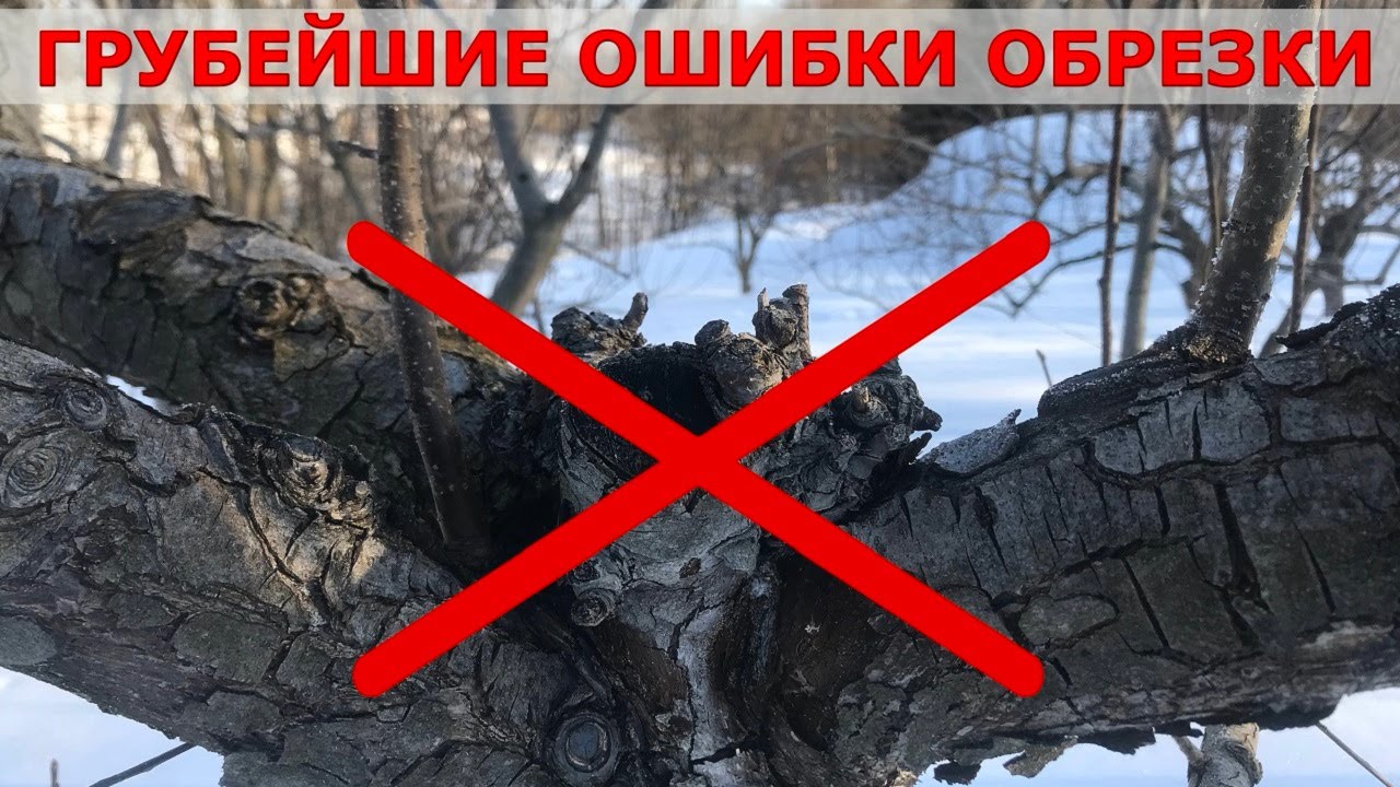 Бойтесь 