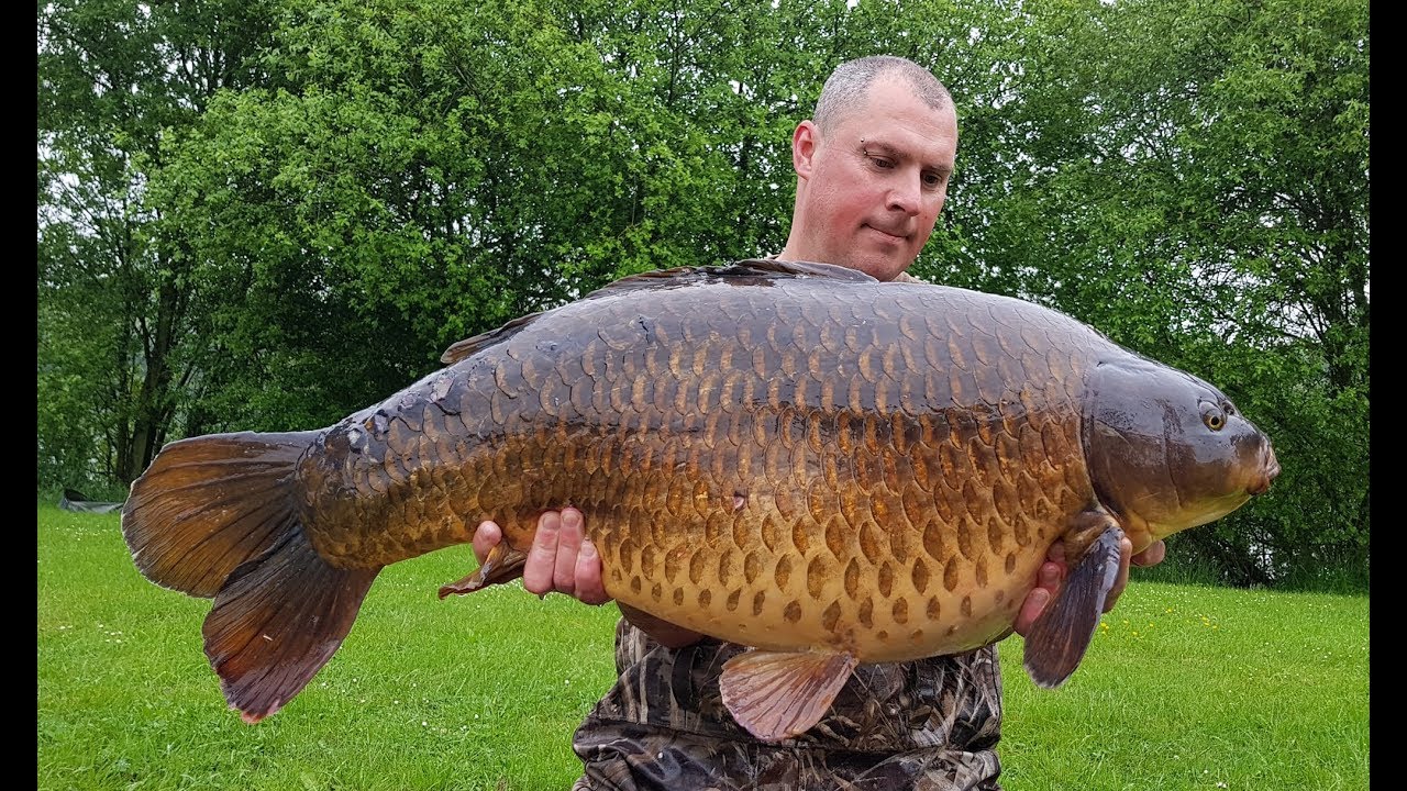 Ep156 - 42lb Common New pb @ Kingfisher Social
