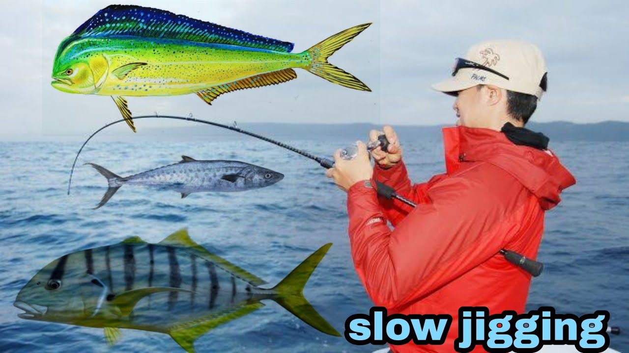 أسهل طريقة لتعليم السلو ججينج..slow jigging