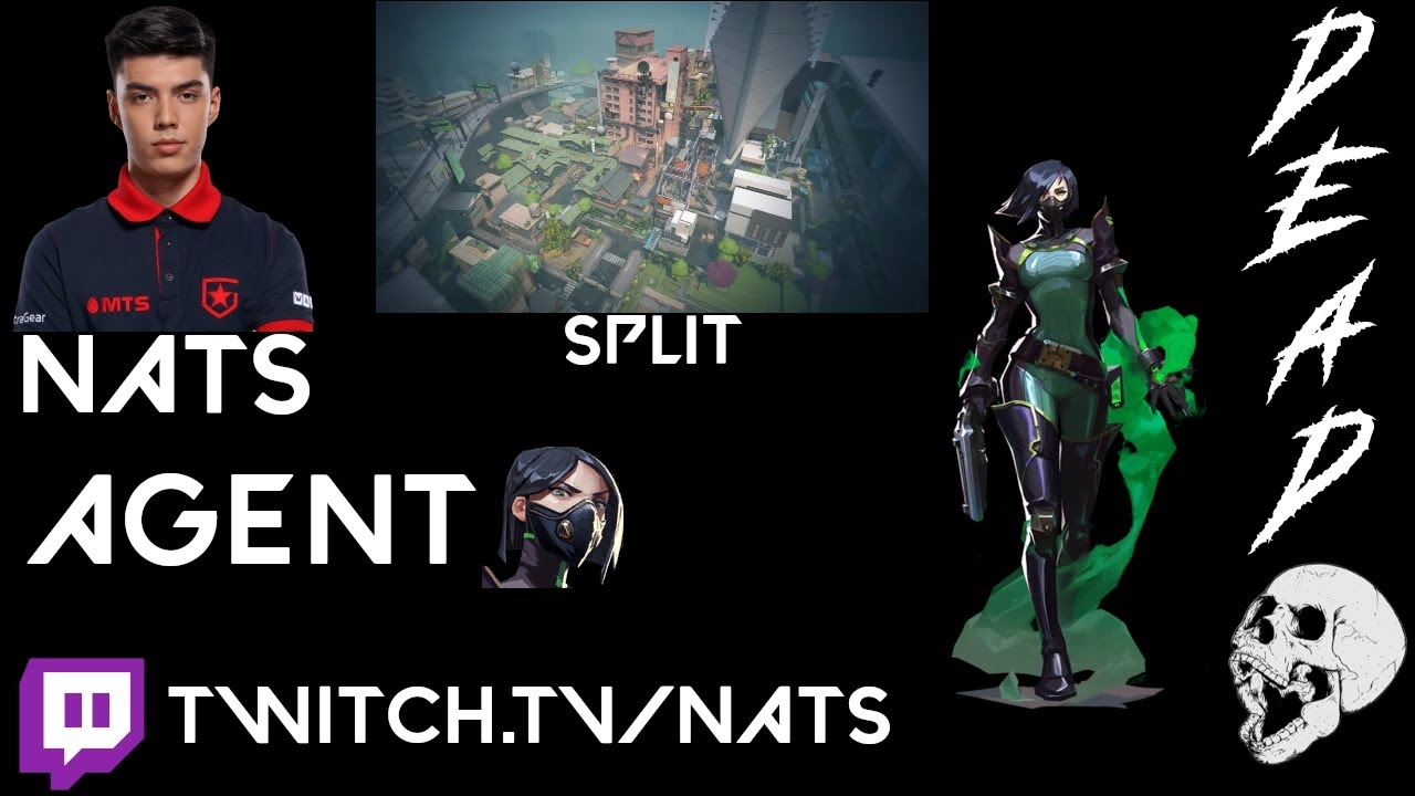 Gambit nAts Pro Viper + AX Bgg//SPLIT