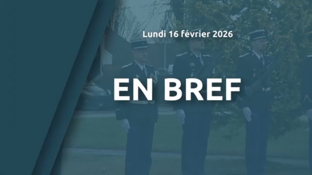En bref