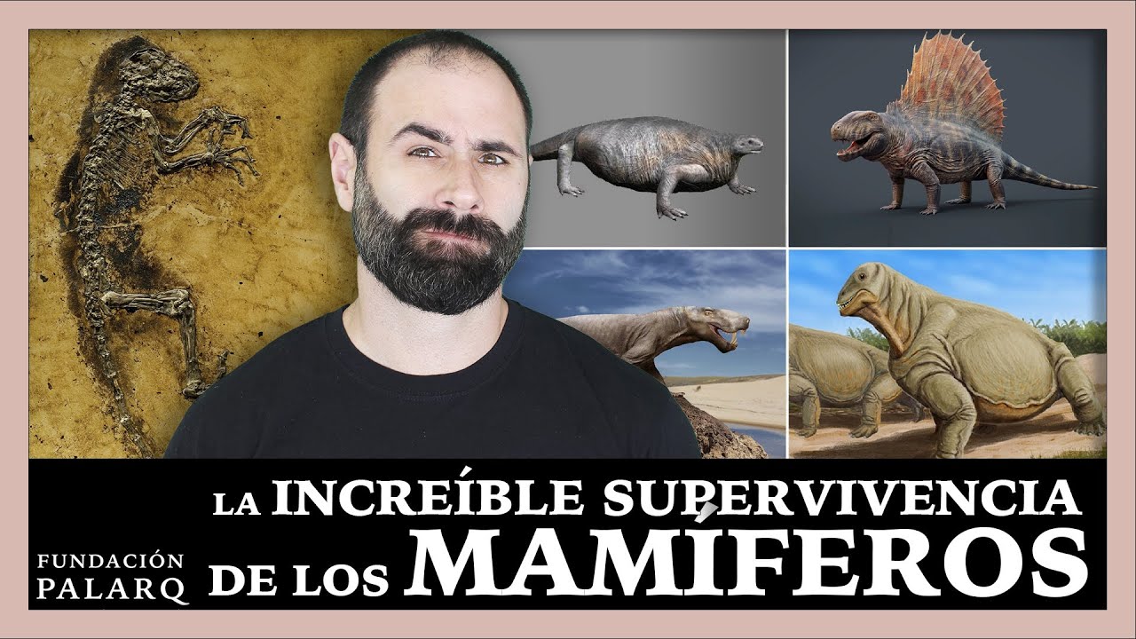El Origen de los Mam&iacute;feros
