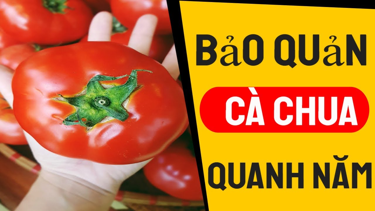 Cách Bảo Quản Cà Chua Được Lâu không dùng Chất Bảo Quản | Bếp Nhà Tôm
