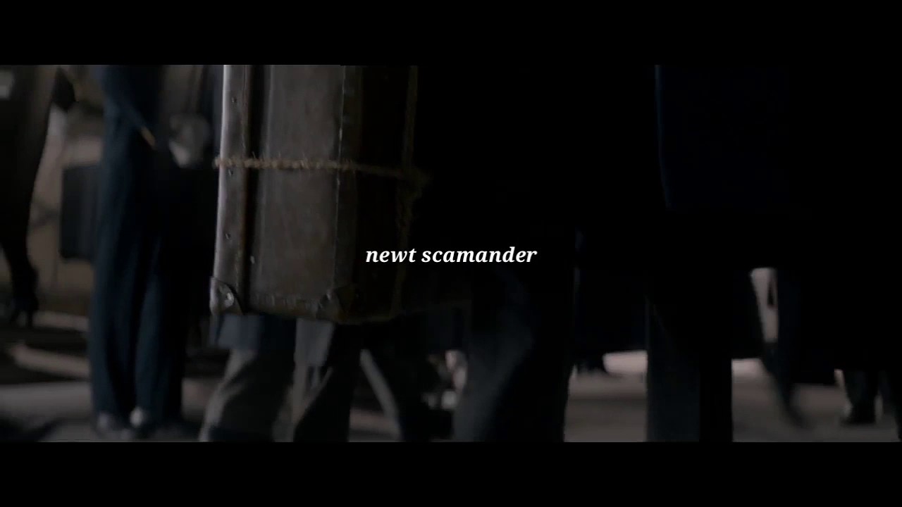 Fantastic Beasts And Where To Find Them: Newt Scamander and Tina Goldstein || All of me