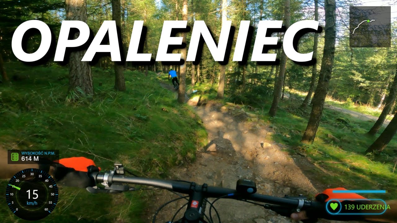 Opaleniec w stronę Czerniawskiej Kopy. Singletrack pod Smerkiem.