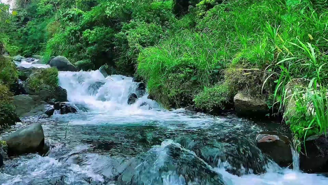 Mountain Stream Night Water Flow, Forest River Sounds, Sleep