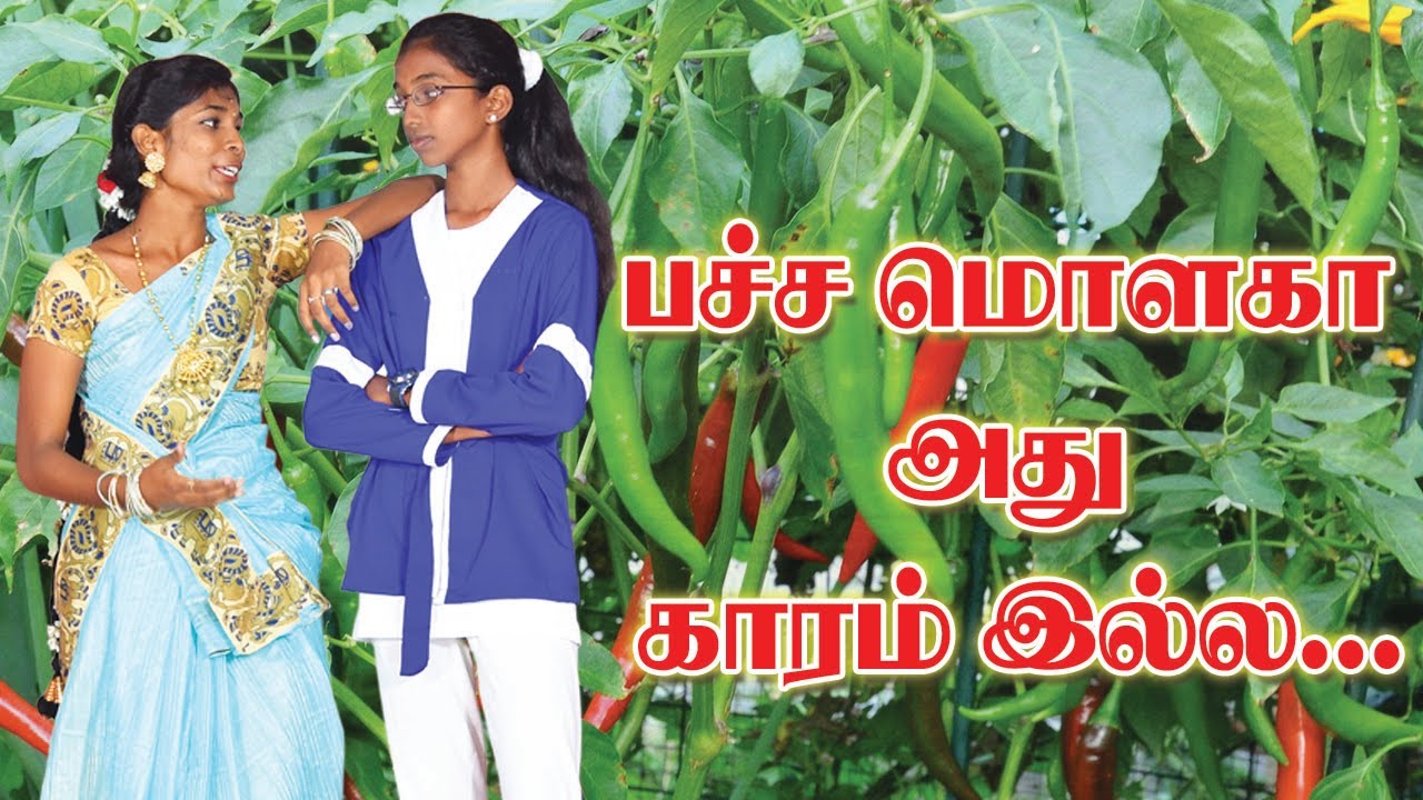 Pacha Molaga Adhu Kaaram Illa || பச்ச மொளகா அது காரம் இல்ல   Sri Murugan Computer Education || 2021