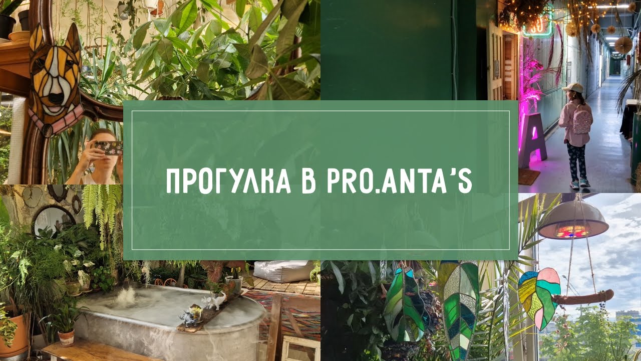 Обзорная ПРОГУЛКА в PRO.Anta's. Рай для растениевода:)