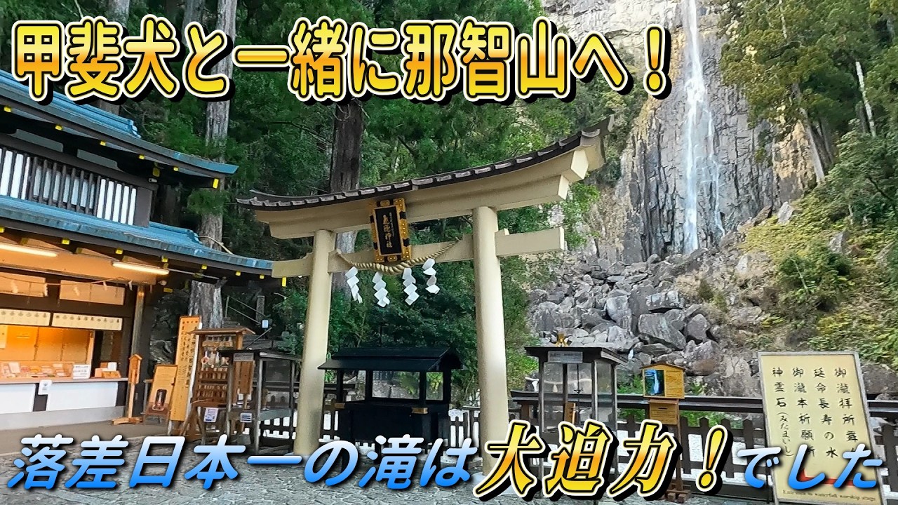 【甲斐犬】高さ日本一！『那智の滝』へ！