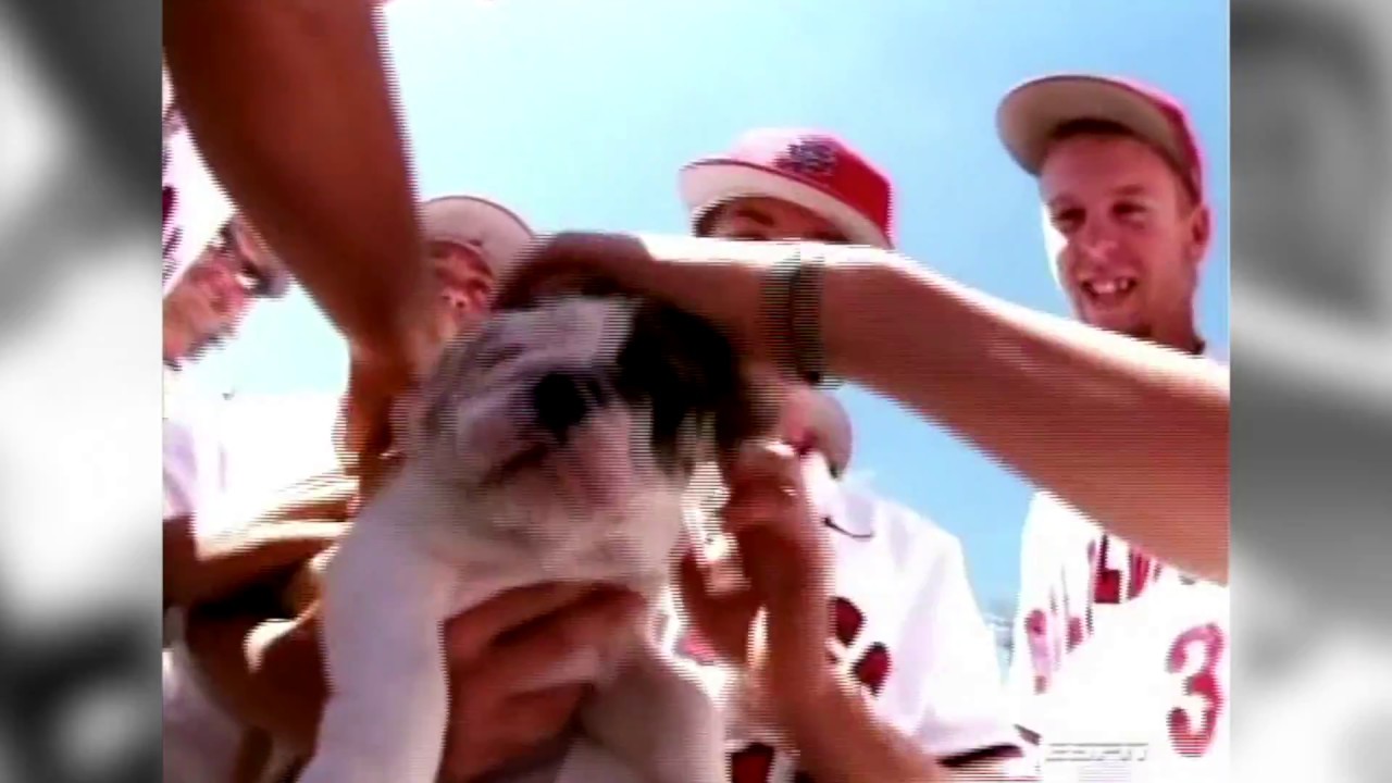 2008 College World Series  - O.A.R. 