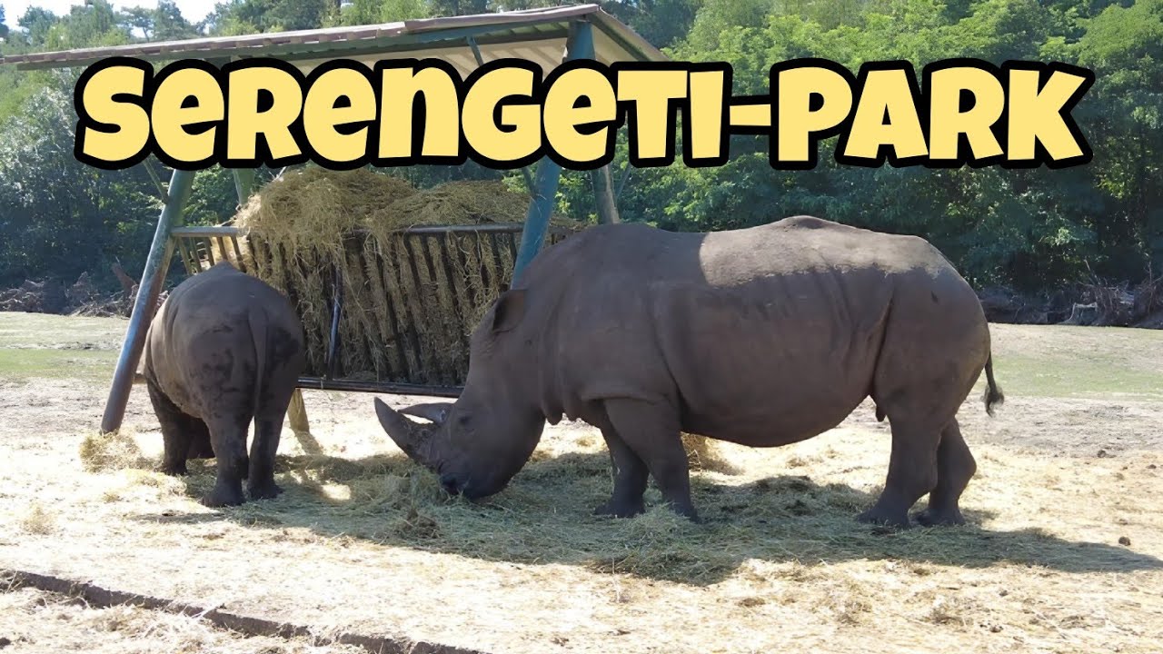 Serengeti-Park Hodenhagen | Safari-Tour & Highlights für Familien & Paare